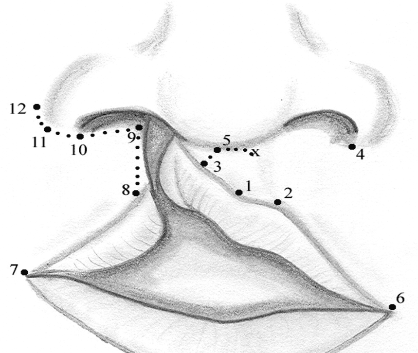 Post-Operative Care and Long-Term Follow-Up    